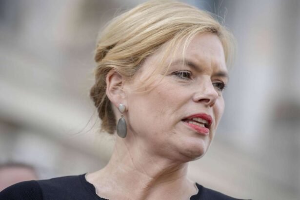 julia klöckner kinderwunsch